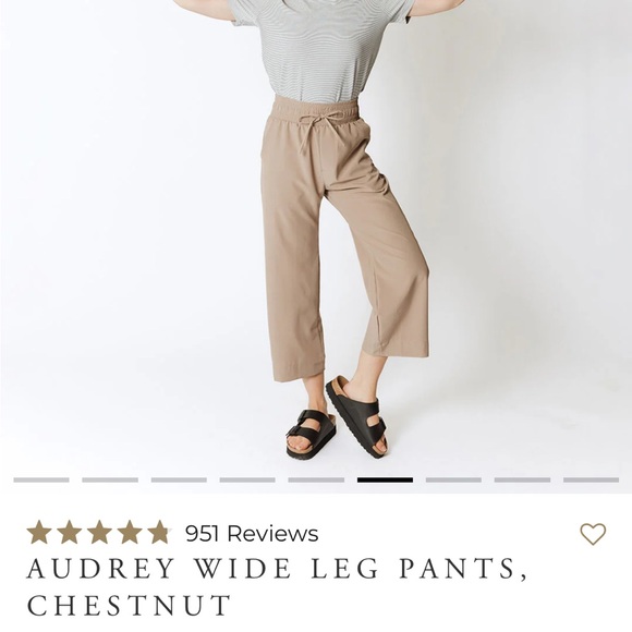 Albion Audrey Wide Leg Pants, Chestnut. Size small. - Picture 3 of 4